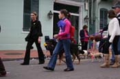 2009-Mystic-Krewe-of-Barkus-Mardi-Gras-French-Quarter-New-Orleans-Dog-Parade-0930