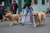 2009-Mystic-Krewe-of-Barkus-Mardi-Gras-French-Quarter-New-Orleans-Dog-Parade-0932a