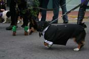 2009-Mystic-Krewe-of-Barkus-Mardi-Gras-French-Quarter-New-Orleans-Dog-Parade-0934a