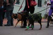 2009-Mystic-Krewe-of-Barkus-Mardi-Gras-French-Quarter-New-Orleans-Dog-Parade-0934b