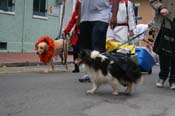 2009-Mystic-Krewe-of-Barkus-Mardi-Gras-French-Quarter-New-Orleans-Dog-Parade-0936