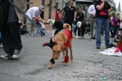 2009-Mystic-Krewe-of-Barkus-Mardi-Gras-French-Quarter-New-Orleans-Dog-Parade-0937