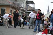 2009-Mystic-Krewe-of-Barkus-Mardi-Gras-French-Quarter-New-Orleans-Dog-Parade-0938