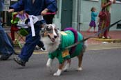 2009-Mystic-Krewe-of-Barkus-Mardi-Gras-French-Quarter-New-Orleans-Dog-Parade-0946