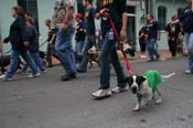 2009-Mystic-Krewe-of-Barkus-Mardi-Gras-French-Quarter-New-Orleans-Dog-Parade-0958