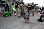 2009-Mystic-Krewe-of-Barkus-Mardi-Gras-French-Quarter-New-Orleans-Dog-Parade-0960