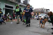 2009-Mystic-Krewe-of-Barkus-Mardi-Gras-French-Quarter-New-Orleans-Dog-Parade-0963