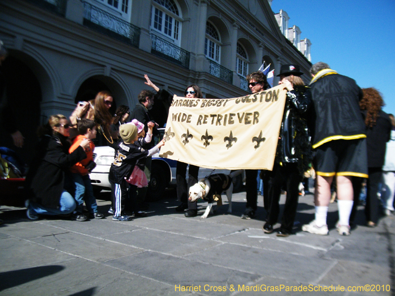 Mystic-Krewe-of-Barkus-2010-HC-Dog-Parade-Mardi-Gras-New-Orleans-8459