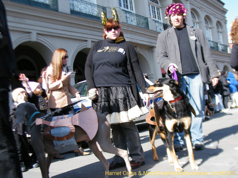 Mystic-Krewe-of-Barkus-2010-HC-Dog-Parade-Mardi-Gras-New-Orleans-8464