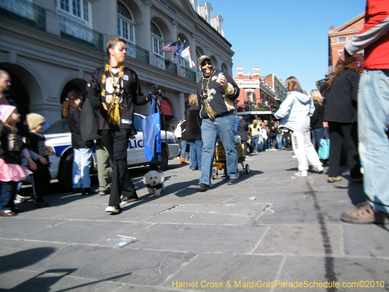 Mystic-Krewe-of-Barkus-2010-HC-Dog-Parade-Mardi-Gras-New-Orleans-8476