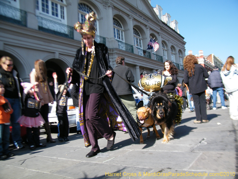 Mystic-Krewe-of-Barkus-2010-HC-Dog-Parade-Mardi-Gras-New-Orleans-8540