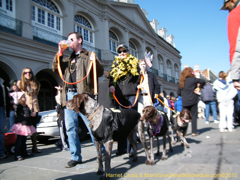 Mystic-Krewe-of-Barkus-2010-HC-Dog-Parade-Mardi-Gras-New-Orleans-8542