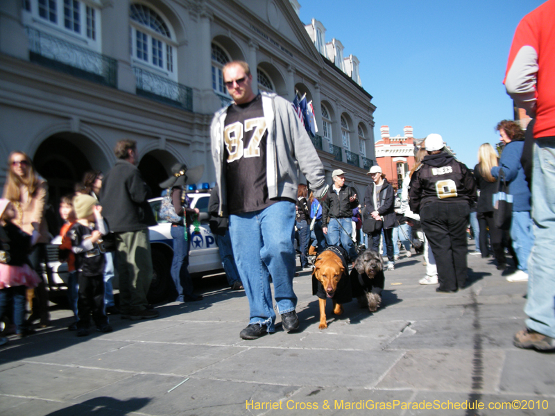 Mystic-Krewe-of-Barkus-2010-HC-Dog-Parade-Mardi-Gras-New-Orleans-8566