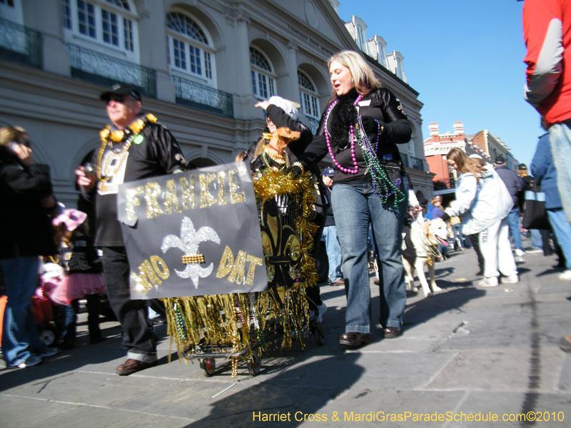 Mystic-Krewe-of-Barkus-2010-HC-Dog-Parade-Mardi-Gras-New-Orleans-8568