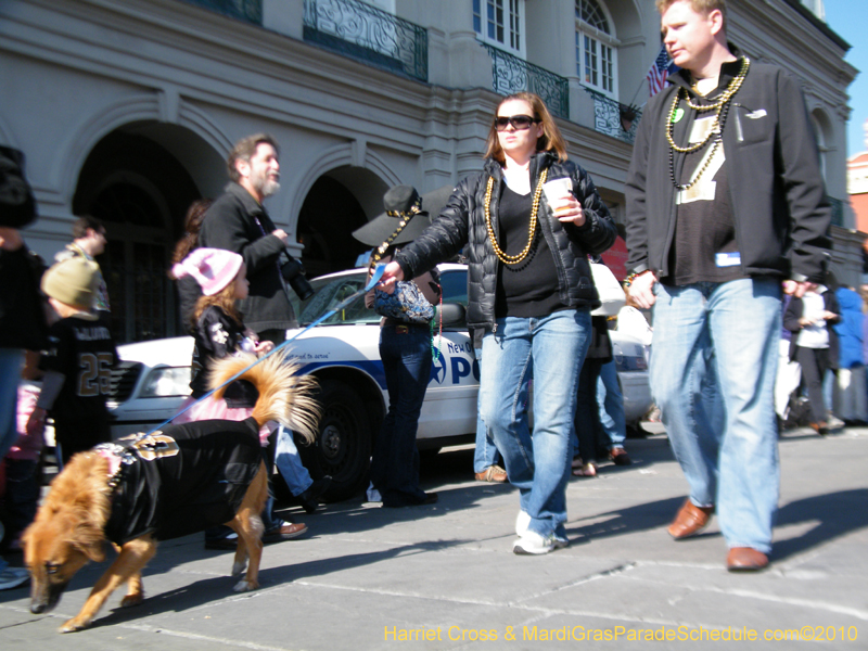 Mystic-Krewe-of-Barkus-2010-HC-Dog-Parade-Mardi-Gras-New-Orleans-8570