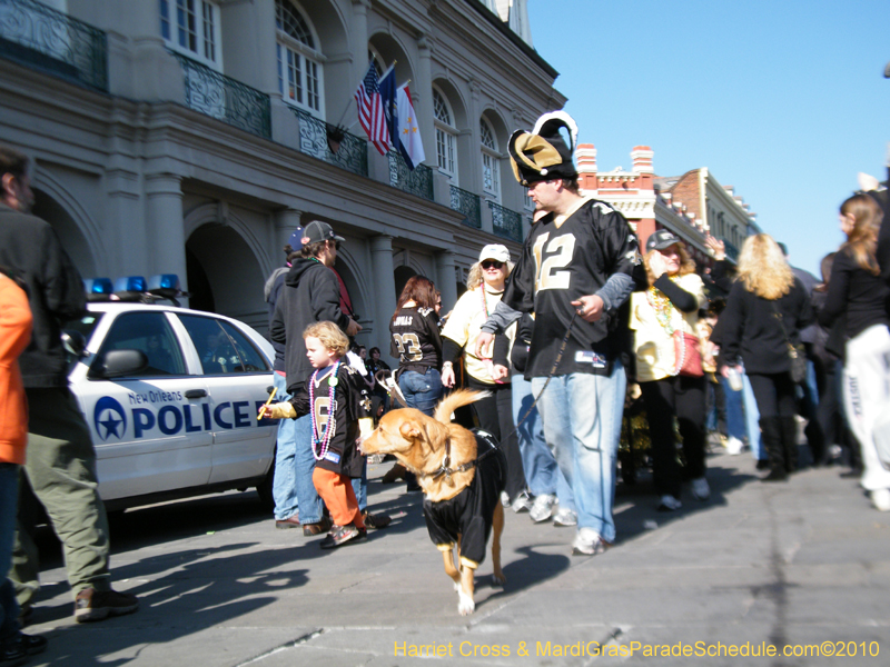 Mystic-Krewe-of-Barkus-2010-HC-Dog-Parade-Mardi-Gras-New-Orleans-8589