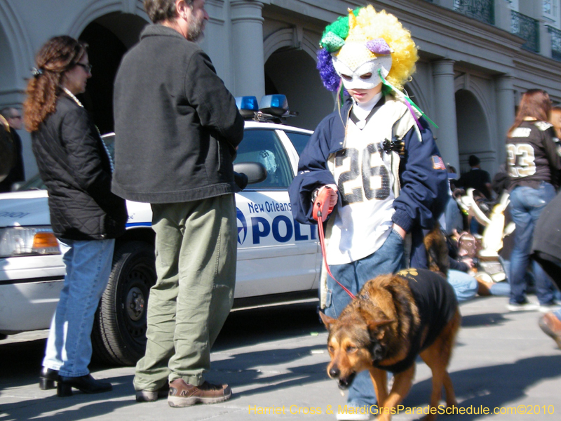 Mystic-Krewe-of-Barkus-2010-HC-Dog-Parade-Mardi-Gras-New-Orleans-8601