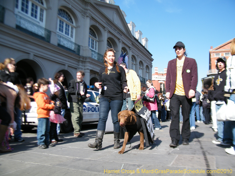 Mystic-Krewe-of-Barkus-2010-HC-Dog-Parade-Mardi-Gras-New-Orleans-8612