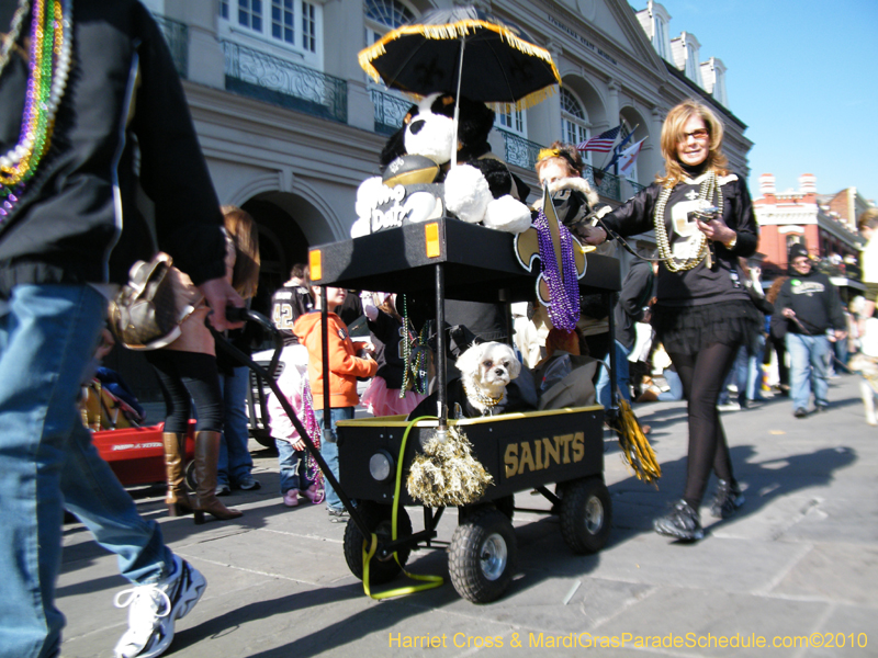 Mystic-Krewe-of-Barkus-2010-HC-Dog-Parade-Mardi-Gras-New-Orleans-8616