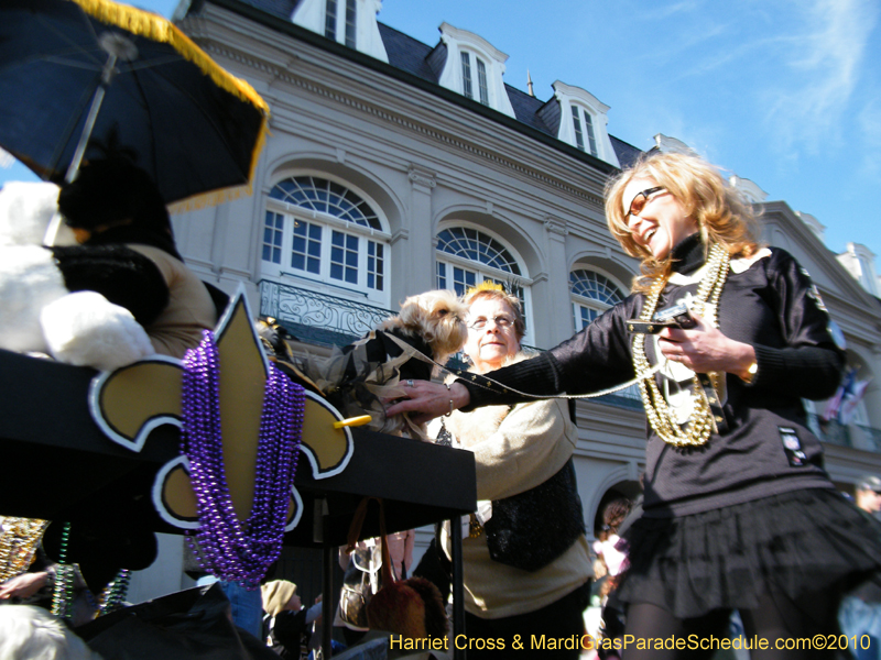 Mystic-Krewe-of-Barkus-2010-HC-Dog-Parade-Mardi-Gras-New-Orleans-8617