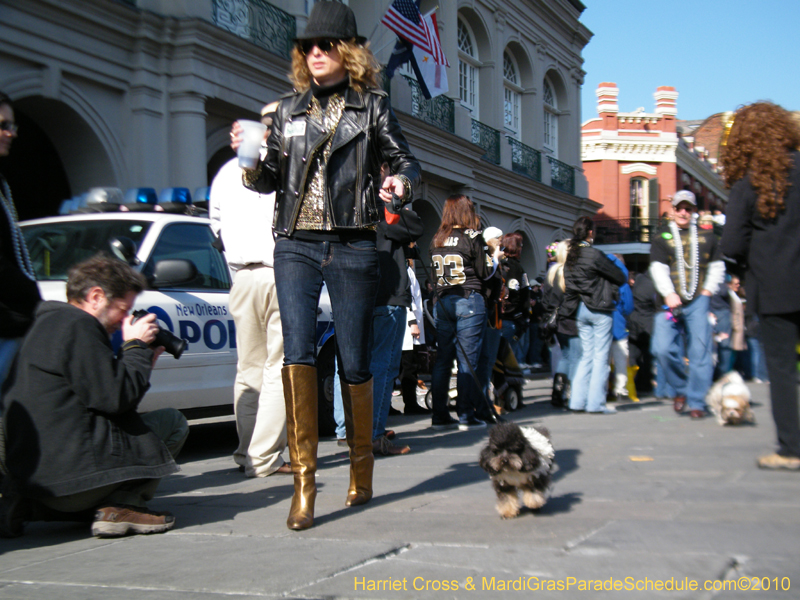 Mystic-Krewe-of-Barkus-2010-HC-Dog-Parade-Mardi-Gras-New-Orleans-8634