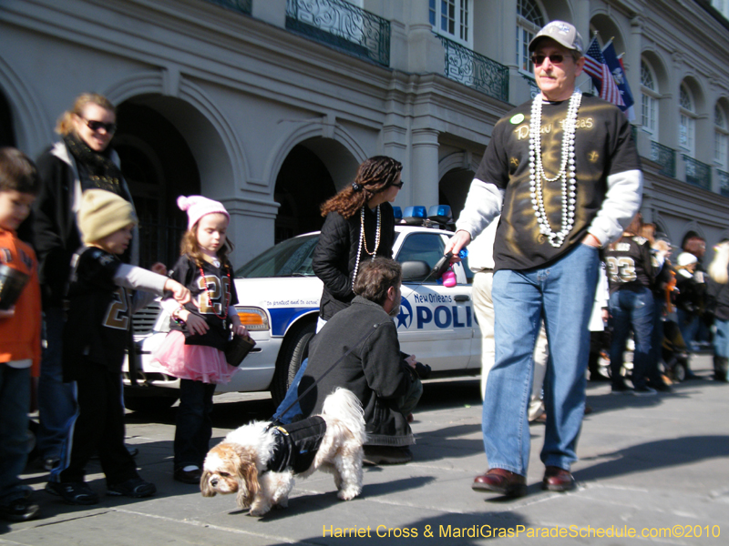 Mystic-Krewe-of-Barkus-2010-HC-Dog-Parade-Mardi-Gras-New-Orleans-8635