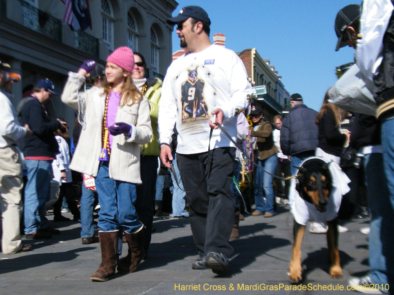 Mystic-Krewe-of-Barkus-2010-HC-Dog-Parade-Mardi-Gras-New-Orleans-8639