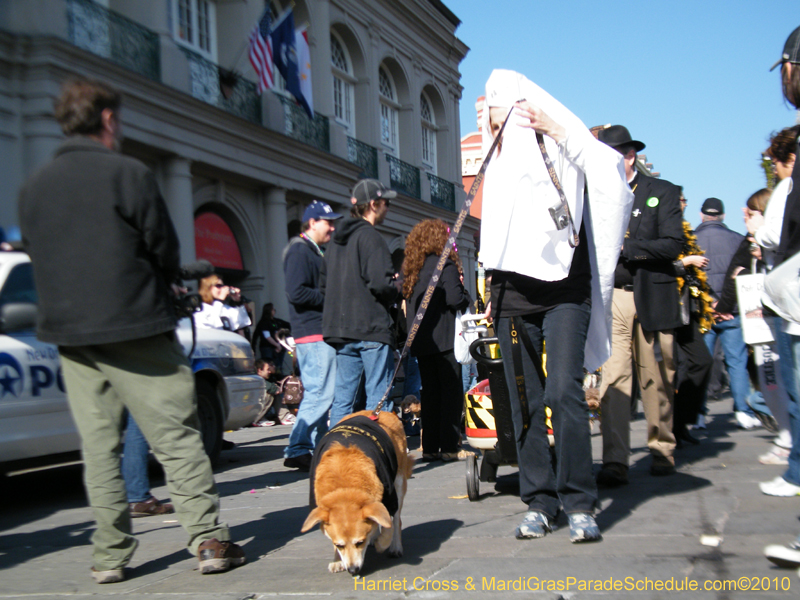 Mystic-Krewe-of-Barkus-2010-HC-Dog-Parade-Mardi-Gras-New-Orleans-8647