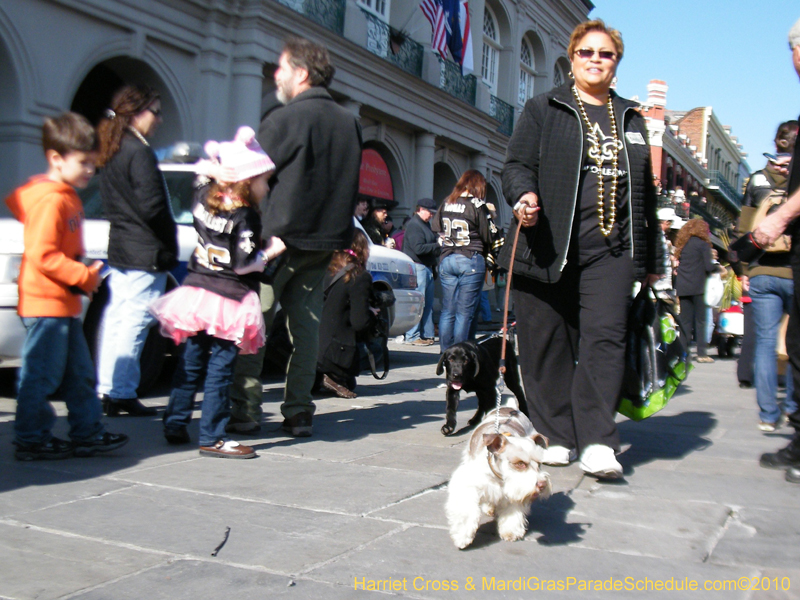 Mystic-Krewe-of-Barkus-2010-HC-Dog-Parade-Mardi-Gras-New-Orleans-8658