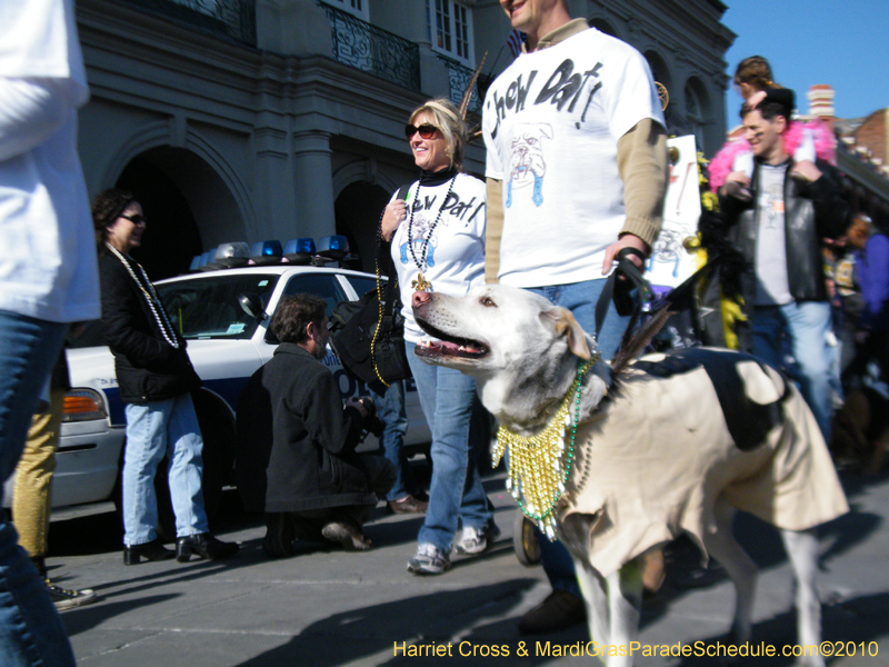 Mystic-Krewe-of-Barkus-2010-HC-Dog-Parade-Mardi-Gras-New-Orleans-8671