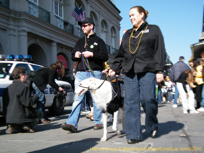 Mystic-Krewe-of-Barkus-2010-HC-Dog-Parade-Mardi-Gras-New-Orleans-8677