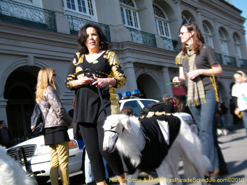 Mystic-Krewe-of-Barkus-2010-HC-Dog-Parade-Mardi-Gras-New-Orleans-8678