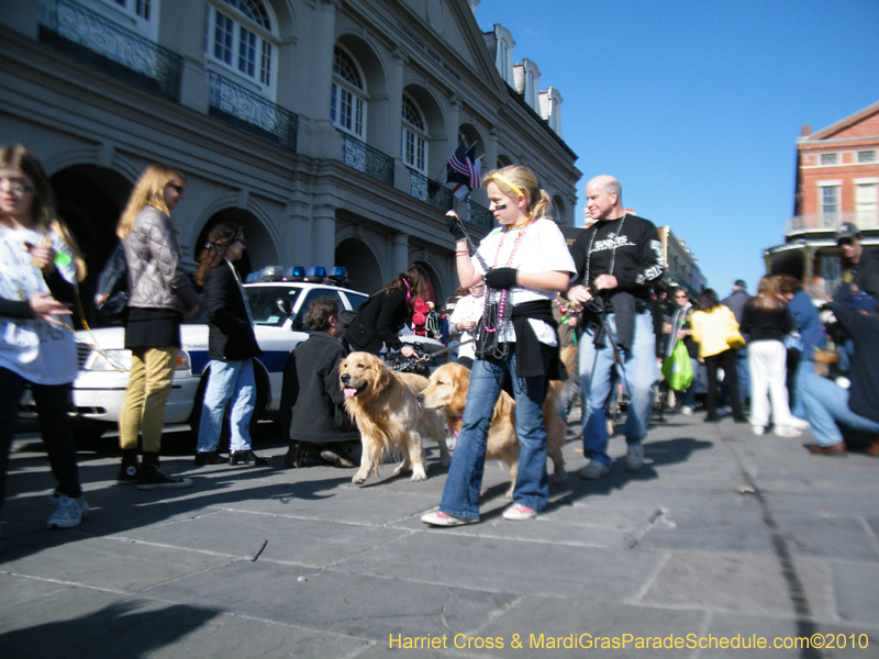 Mystic-Krewe-of-Barkus-2010-HC-Dog-Parade-Mardi-Gras-New-Orleans-8682