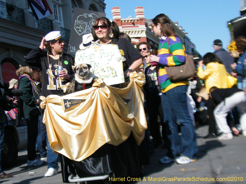 Mystic-Krewe-of-Barkus-2010-HC-Dog-Parade-Mardi-Gras-New-Orleans-8717