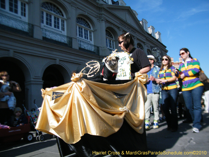 Mystic-Krewe-of-Barkus-2010-HC-Dog-Parade-Mardi-Gras-New-Orleans-8719