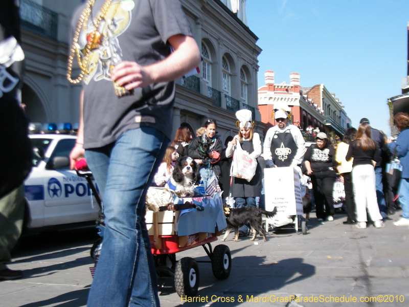 Mystic-Krewe-of-Barkus-2010-HC-Dog-Parade-Mardi-Gras-New-Orleans-8723