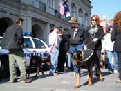 Mystic-Krewe-of-Barkus-2010-HC-Dog-Parade-Mardi-Gras-New-Orleans-8506