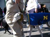 Mystic-Krewe-of-Barkus-2010-HC-Dog-Parade-Mardi-Gras-New-Orleans-8533