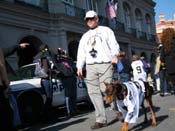 Mystic-Krewe-of-Barkus-2010-HC-Dog-Parade-Mardi-Gras-New-Orleans-8563