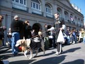 Mystic-Krewe-of-Barkus-2010-HC-Dog-Parade-Mardi-Gras-New-Orleans-8569