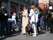 Mystic-Krewe-of-Barkus-2010-HC-Dog-Parade-Mardi-Gras-New-Orleans-8572