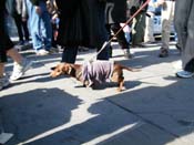 Mystic-Krewe-of-Barkus-2010-HC-Dog-Parade-Mardi-Gras-New-Orleans-8608