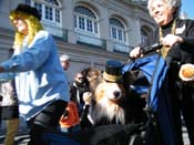 Mystic-Krewe-of-Barkus-2010-HC-Dog-Parade-Mardi-Gras-New-Orleans-8637