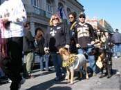 Mystic-Krewe-of-Barkus-2010-HC-Dog-Parade-Mardi-Gras-New-Orleans-8641