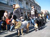 Mystic-Krewe-of-Barkus-2010-HC-Dog-Parade-Mardi-Gras-New-Orleans-8642