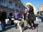 Mystic-Krewe-of-Barkus-2010-HC-Dog-Parade-Mardi-Gras-New-Orleans-8665