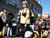 Mystic-Krewe-of-Barkus-2010-HC-Dog-Parade-Mardi-Gras-New-Orleans-8674