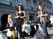 Mystic-Krewe-of-Barkus-2010-HC-Dog-Parade-Mardi-Gras-New-Orleans-8678