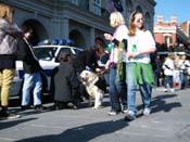 Mystic-Krewe-of-Barkus-2010-HC-Dog-Parade-Mardi-Gras-New-Orleans-8679