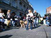 Mystic-Krewe-of-Barkus-2010-HC-Dog-Parade-Mardi-Gras-New-Orleans-8682